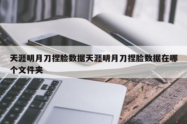 天涯明月刀捏脸数据天涯明月刀捏脸数据在哪个文件夹