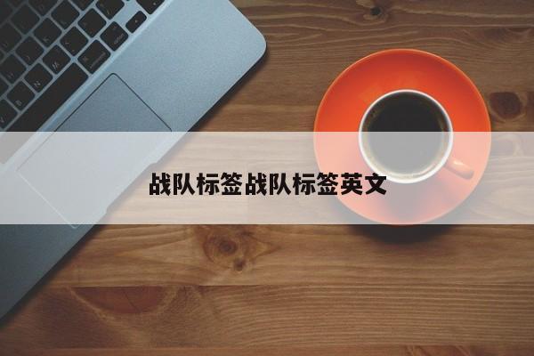 战队标签战队标签英文